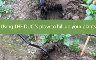 How to Hill Potatoes with THE DUC's Man-Pulled Plow