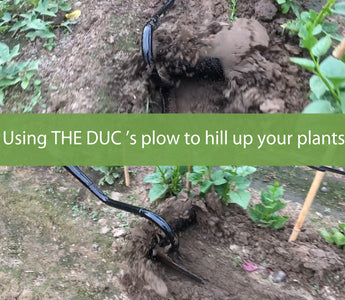 How to Hill Potatoes with THE DUC's Man-Pulled Plow