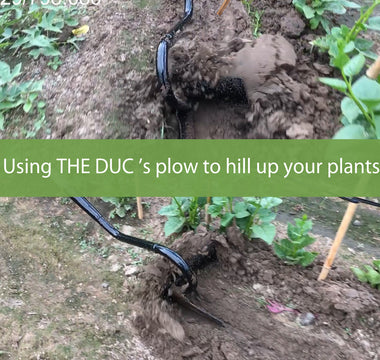 How to Hill Potatoes with THE DUC's Man-Pulled Plow